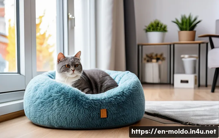 몰도바 애완동물 문화 관련 이미지 1